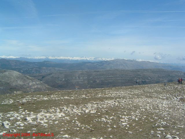 DSCF0048
