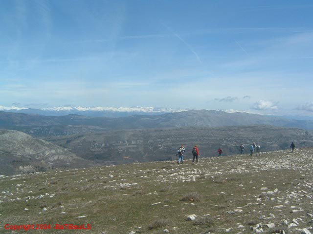 DSCF0059