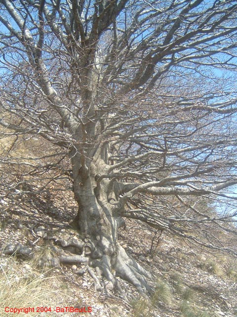 DSCF0073
