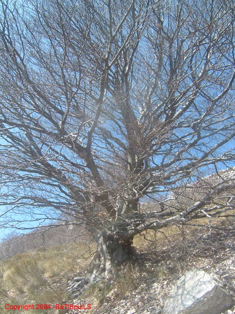 DSCF0074