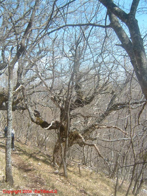 DSCF0078