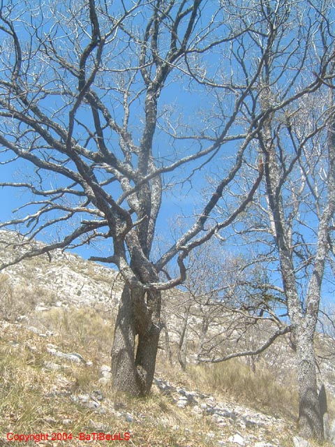 DSCF0080