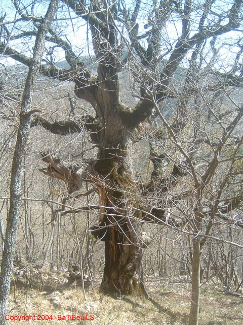 DSCF0082