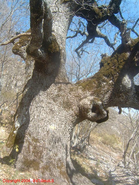DSCF0083