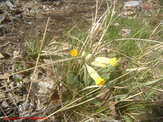 DSCF0088