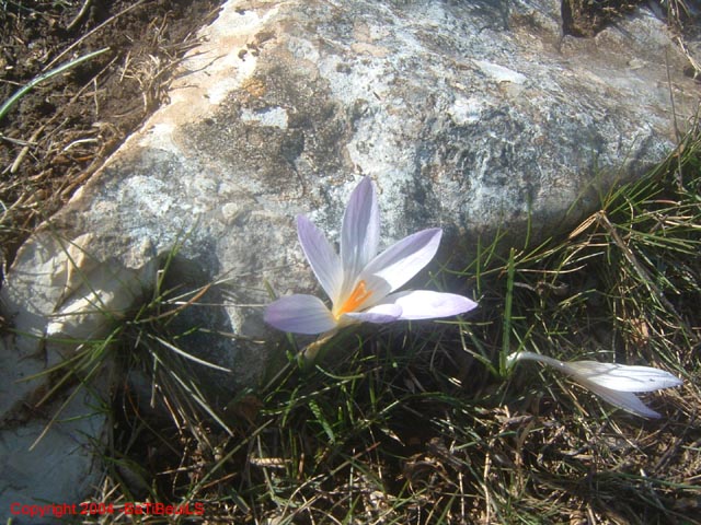 DSCF0089