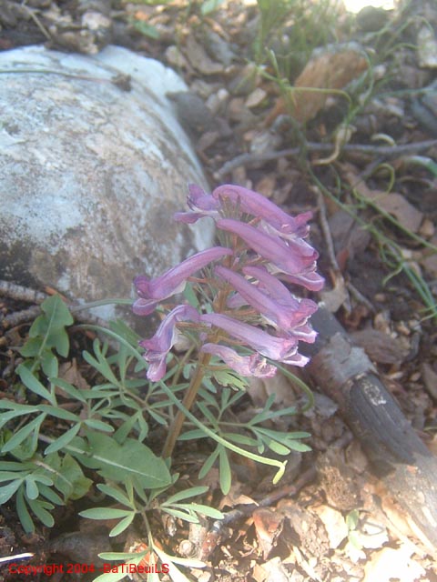 DSCF0094