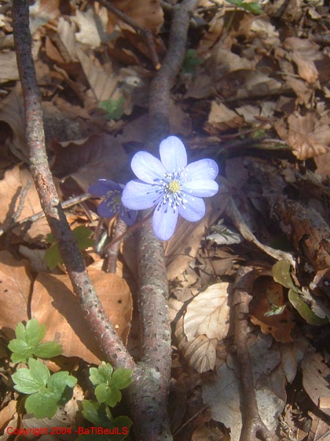 DSCF0097