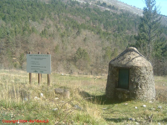 DSCF0106