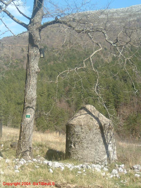 DSCF0107