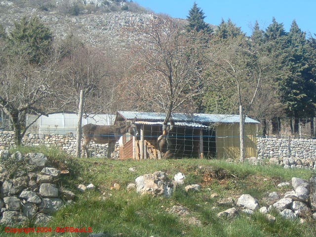 DSCF0108