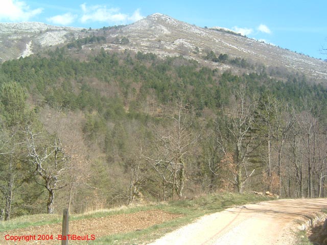 DSCF0114