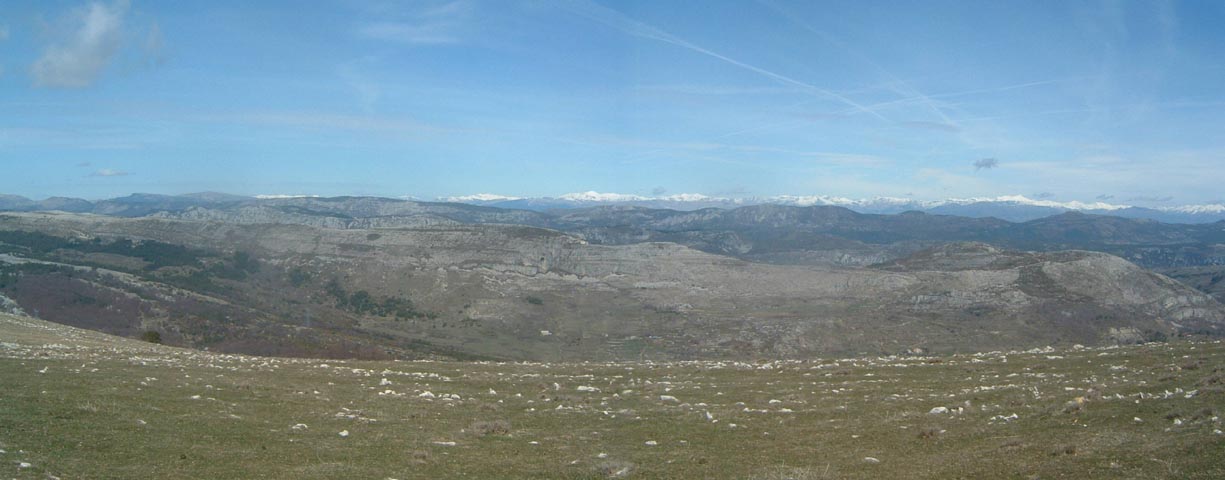 Pano