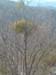 DSCF0024