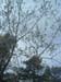 DSCF0029