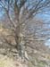 DSCF0073