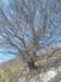 DSCF0074