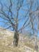 DSCF0080