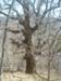DSCF0082