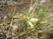 DSCF0088