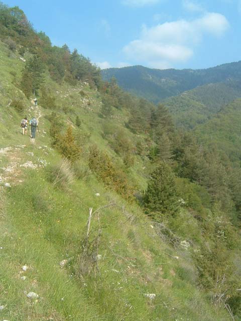 dscf0022
