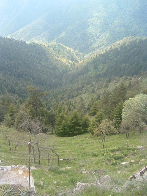 dscf0044