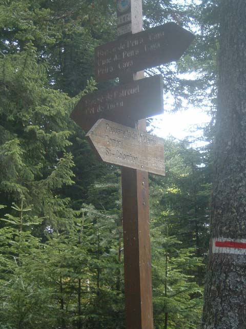 dscf0046