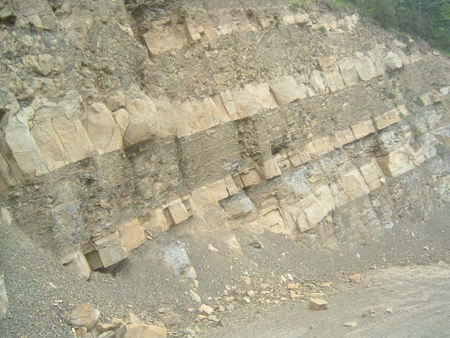 dscf0059