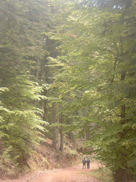 dscf0064