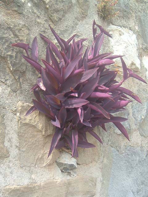 dscf0089