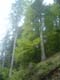dscf0062