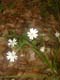 dscf0069