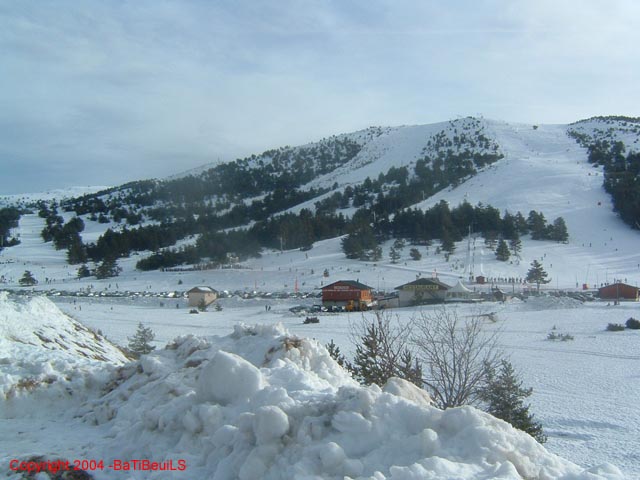 DSCF0009