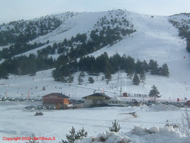 DSCF0010