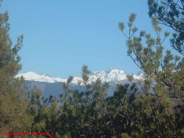 DSCF0015