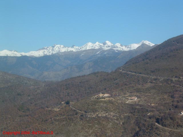 DSCF0028