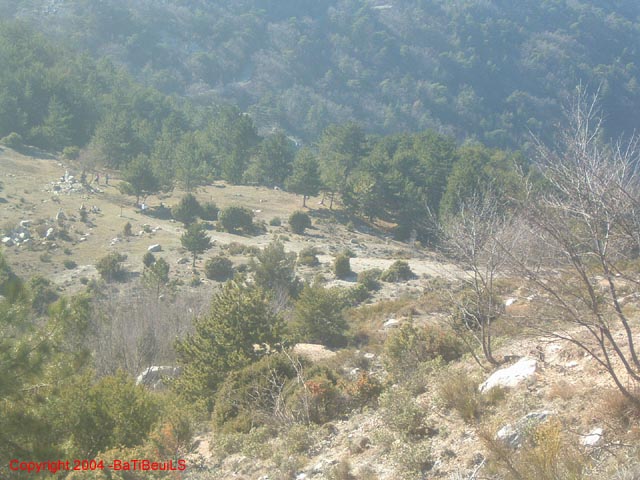 DSCF0060
