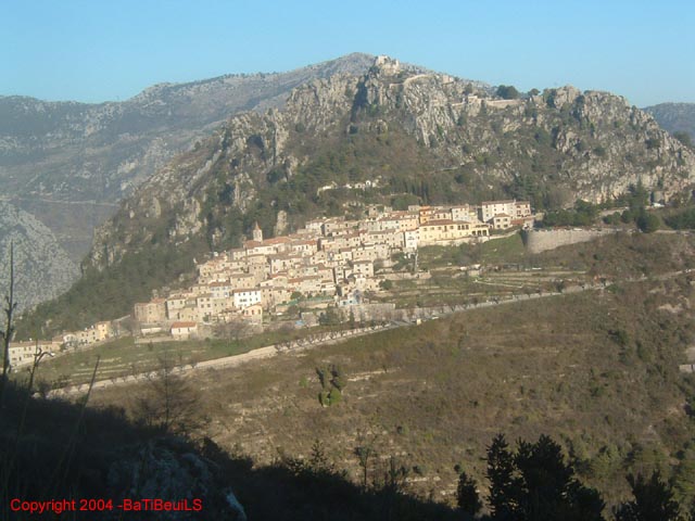 DSCF0079