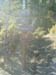 DSCF0021
