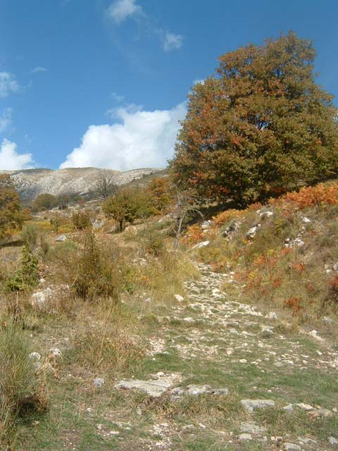 DSCF0003