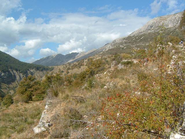 DSCF0008