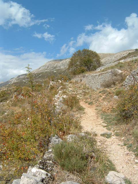 DSCF0009