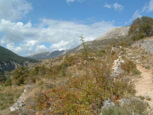 DSCF0010
