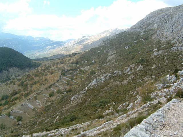 DSCF0029