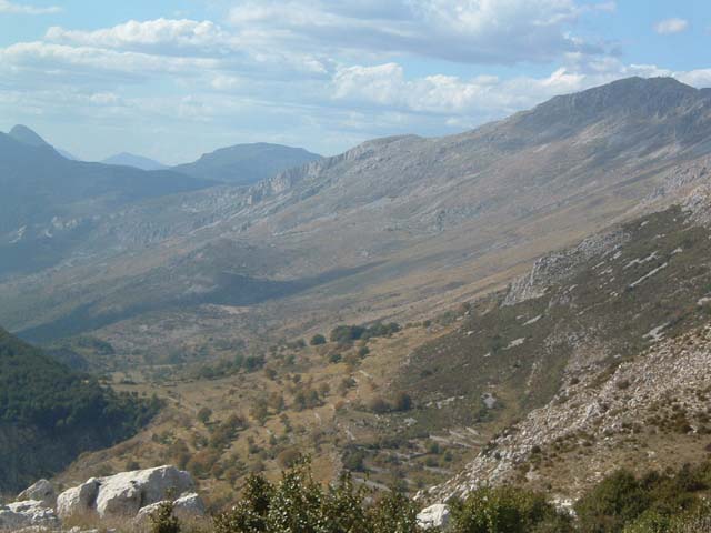 DSCF0051