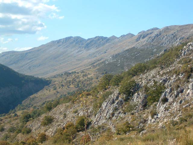 DSCF0083