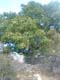 DSCF0044