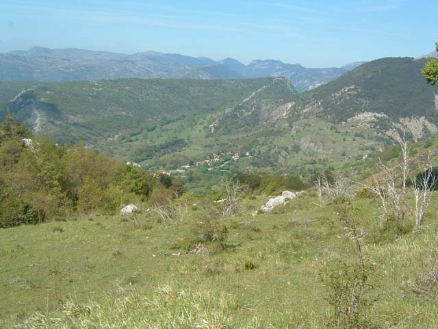 Bernard08