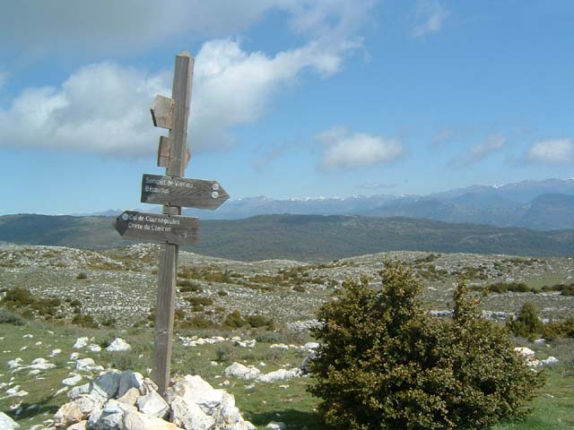 Bernard16