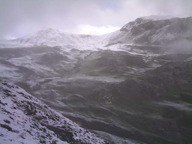 Bonette06